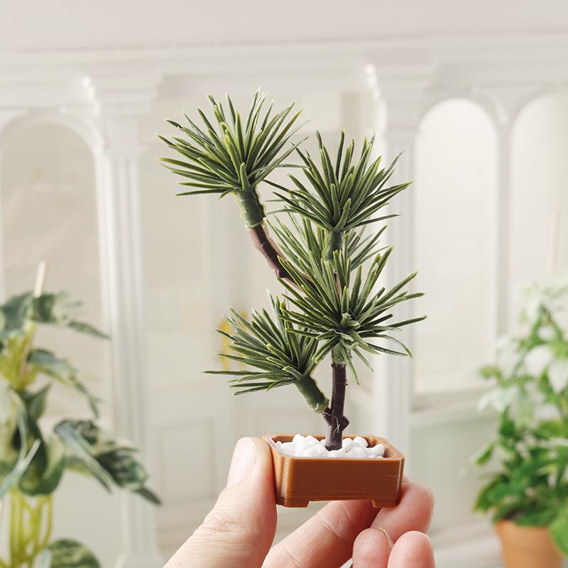 Bonsai Gardener - 1 unidad de árbol de pino