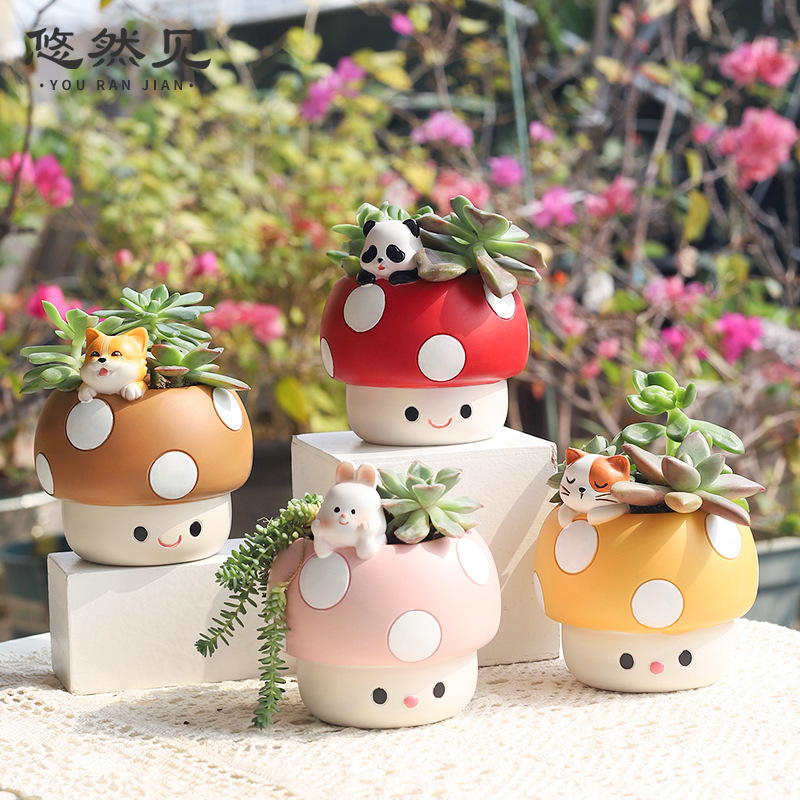 Bonsai Garden Youtube - Maceta de Flores Suculentas con Forma