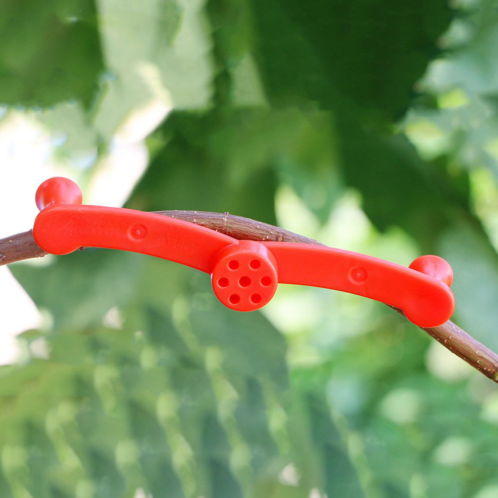 Bonsai Gardener - 10 Piezas de Soportes Flexibles para