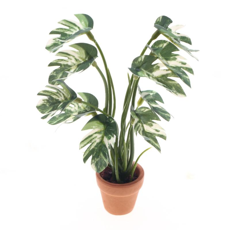Bonsai Gardener - Nuevo. 1 unidad. Planta verde de