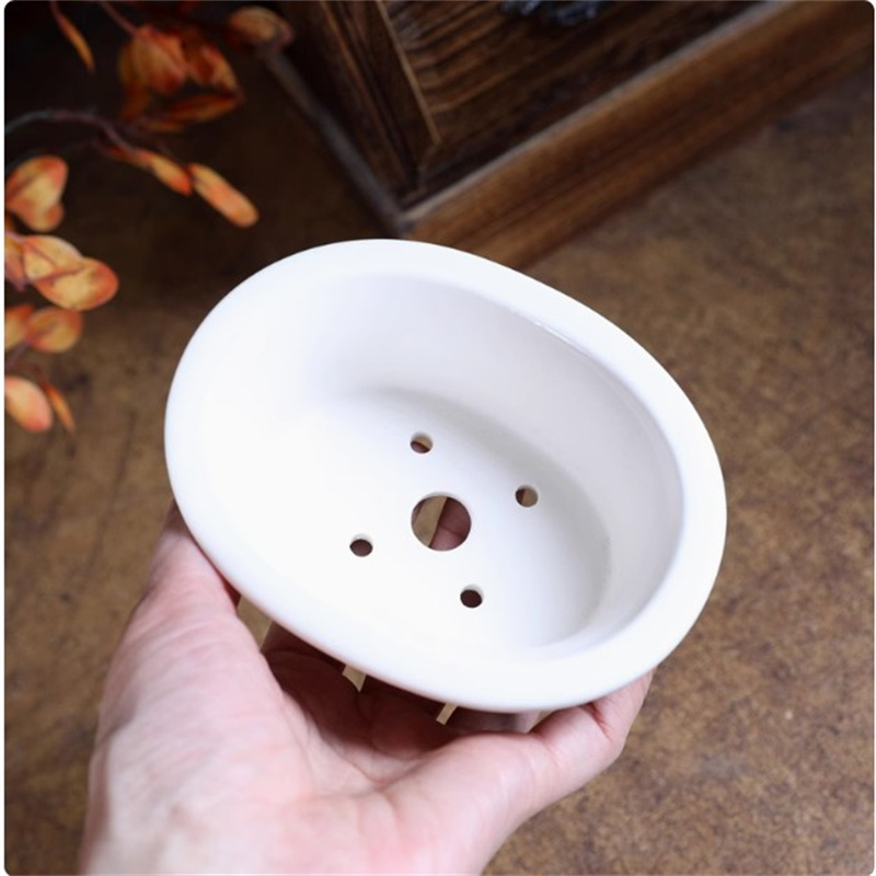 Maceta de bonsái ovalada blanc - Bonsai Garden Table reseña y precio
