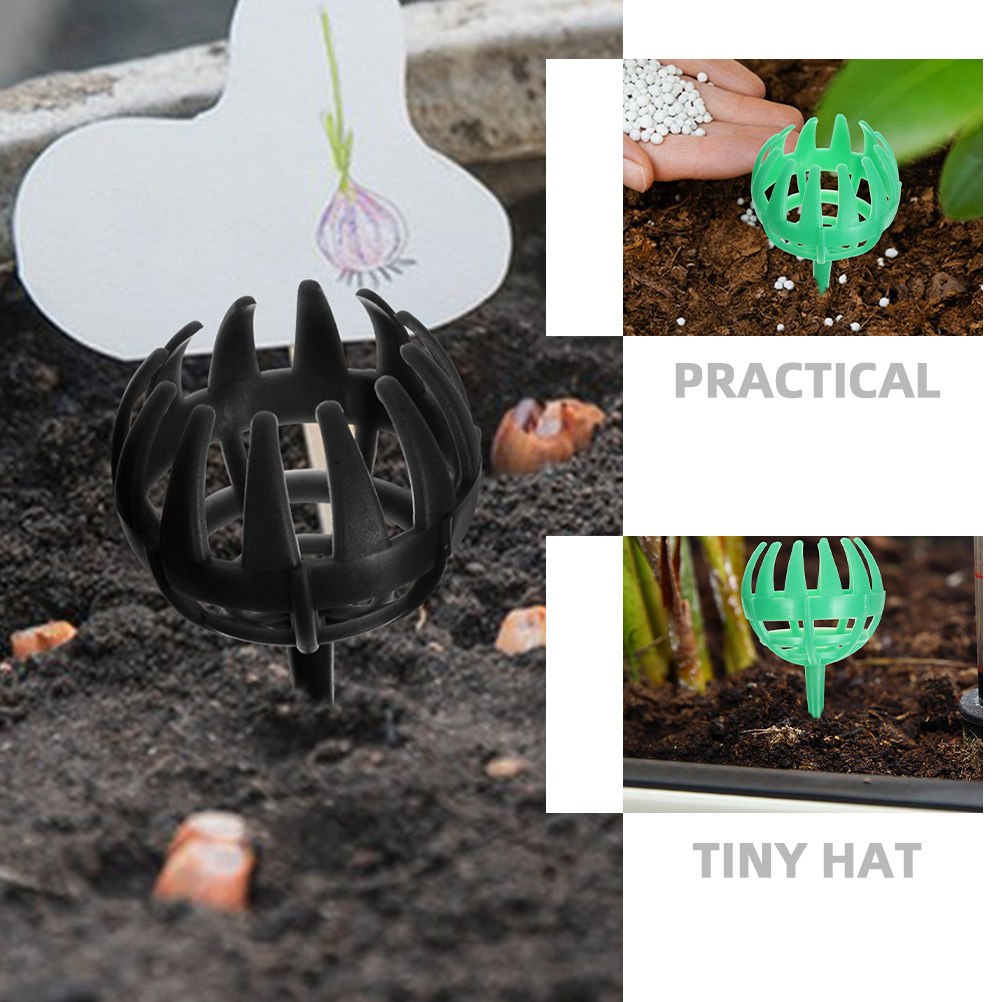 10 Cajas de Fertilizante Reuti - Bonsai Gardener reseña y precio