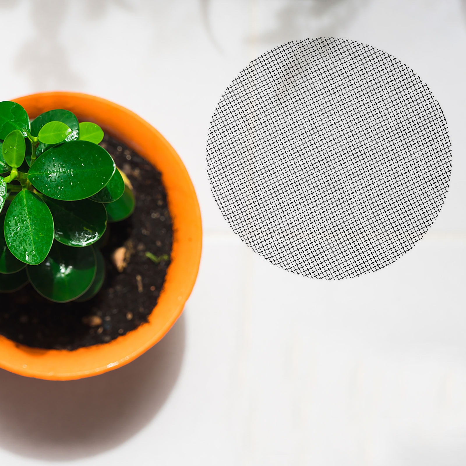 50 Piezas de Malla Redonda par - Bonsai Gardener reseña y precio