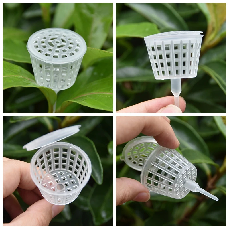 Cesta para fertilizante con ta - Bonsai Garden Of Ct reseña y precio