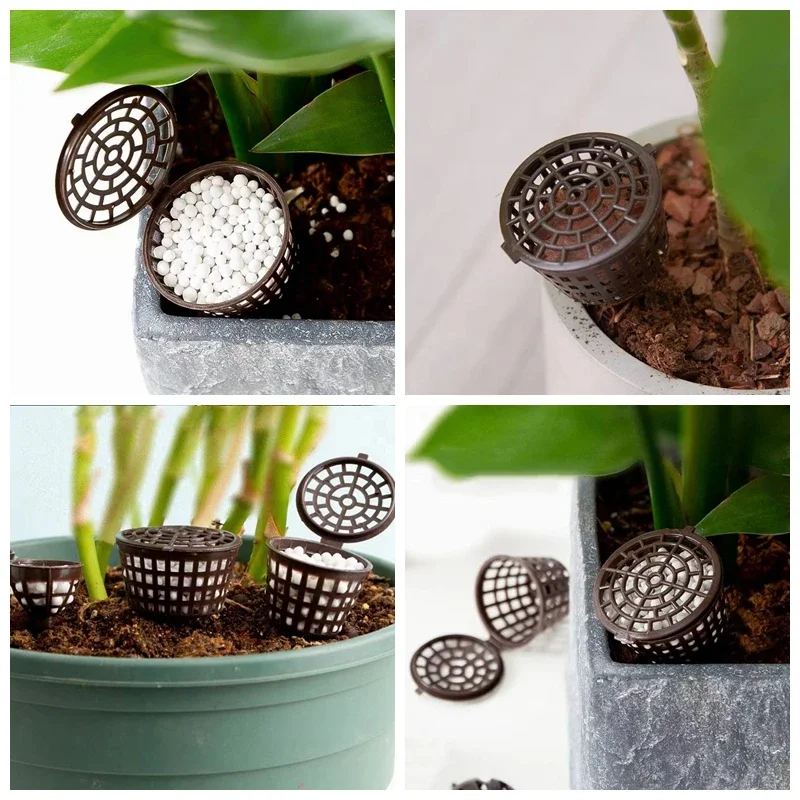 Cesta para fertilizante con ta - Bonsai Garden Of Ct reseña y precio