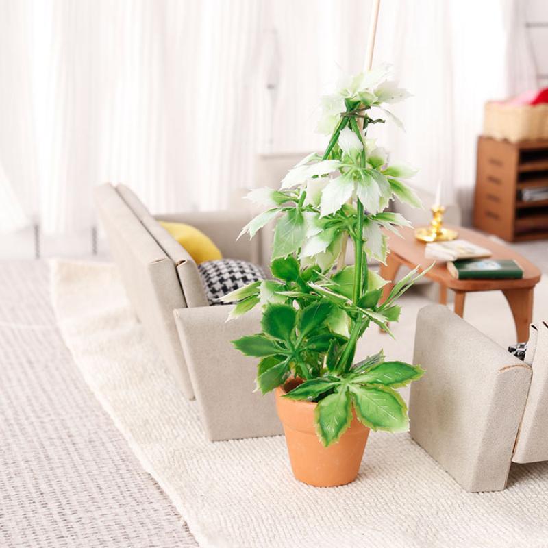 1/12 casa de muñecas simulació - Bonsai Gardener reseña y precio