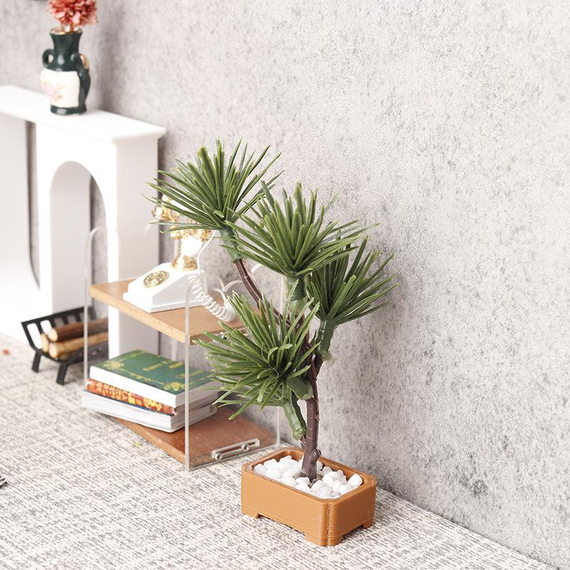 1 unidad de árbol de pino de s - Bonsai Gardener reseña y precio