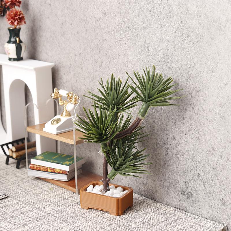 1 unidad de árbol de pino de s - Bonsai Gardener reseña y precio