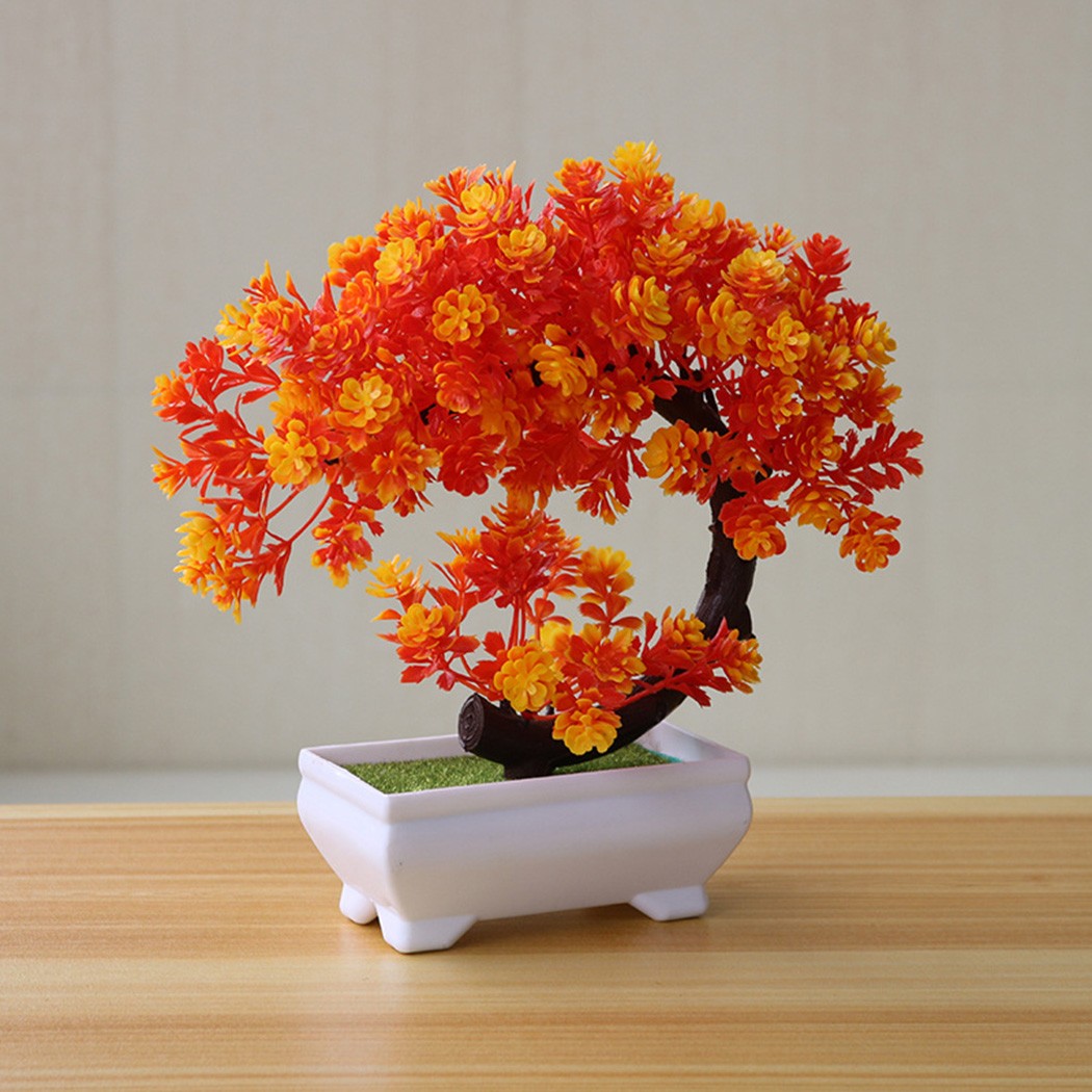 Adorno de bonsái en maceta de  - Bonsai Garden Table reseña y precio