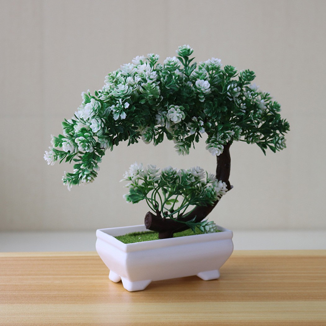 Adorno de bonsái en maceta de  - Bonsai Garden Table reseña y precio