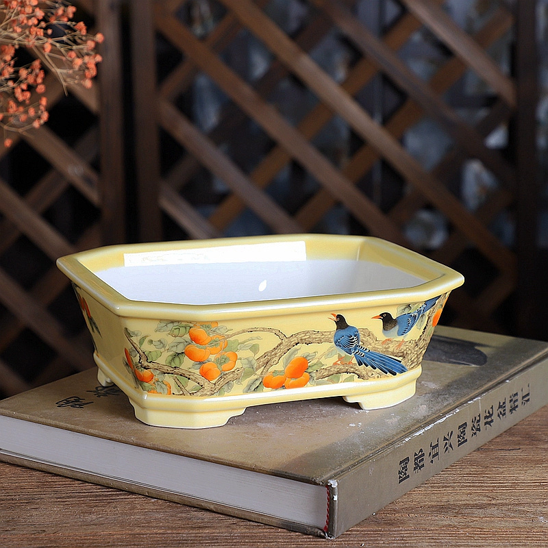 Maceta para bonsái rectangular - Bonsai Garden Table reseña y precio
