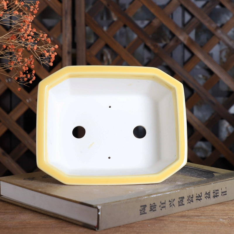 Maceta para bonsái rectangular - Bonsai Garden Table reseña y precio