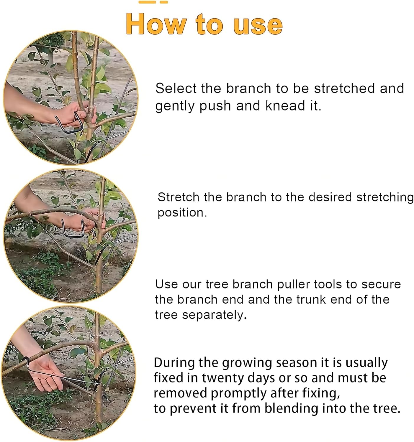 Diseñador de Ramas Ajustable p - Bonsai Gardener reseña y precio