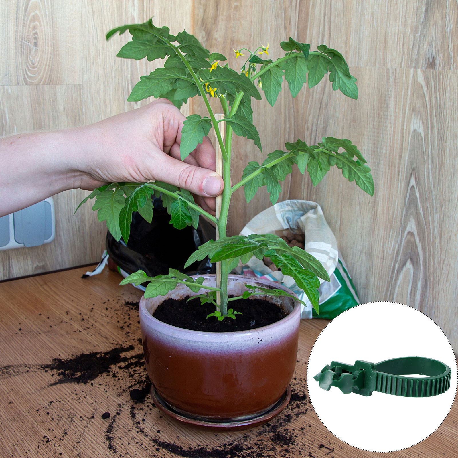 20 Piezas de Hebillas de Fijac - Bonsai Gardener reseña y precio