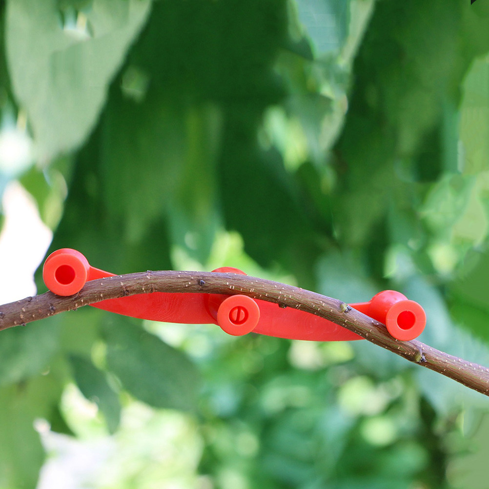 10 Piezas de Soportes Flexible - Bonsai Gardener reseña y precio