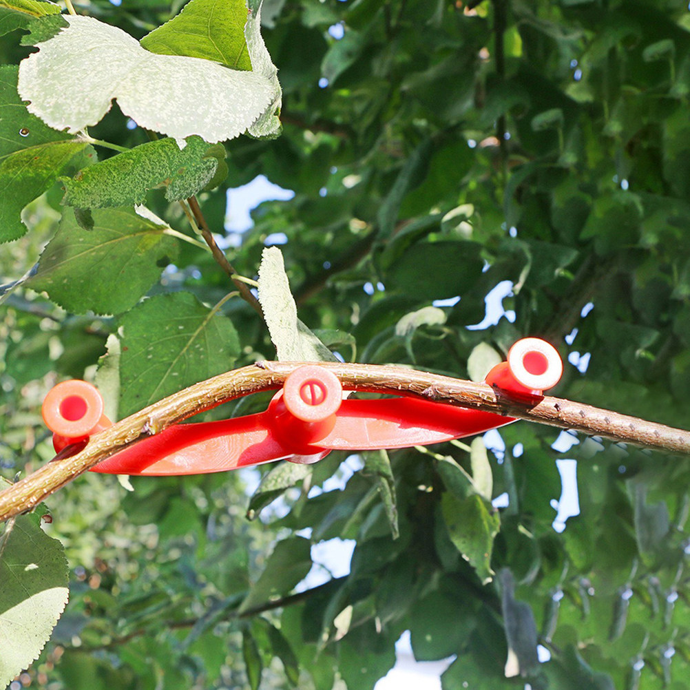10 Piezas de Soportes Flexible - Bonsai Gardener reseña y precio