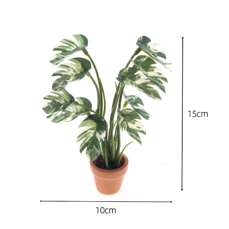 Nuevo. 1 unidad. Planta verde  - Bonsai Gardener reseña y precio