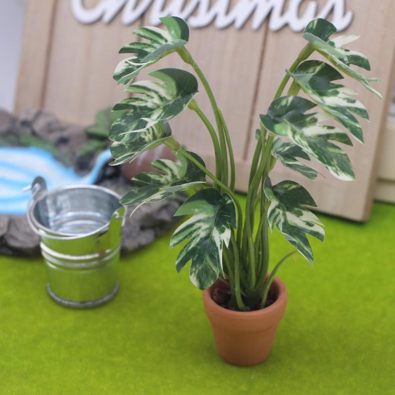 Nuevo. 1 unidad. Planta verde  - Bonsai Gardener reseña y precio